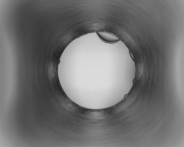 X0000111850236200908131445