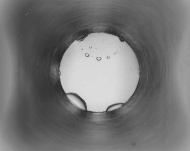 X0000111850240200908131445