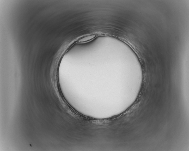 X0000111850241200908131444