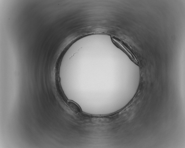 X0000111850242200908131444