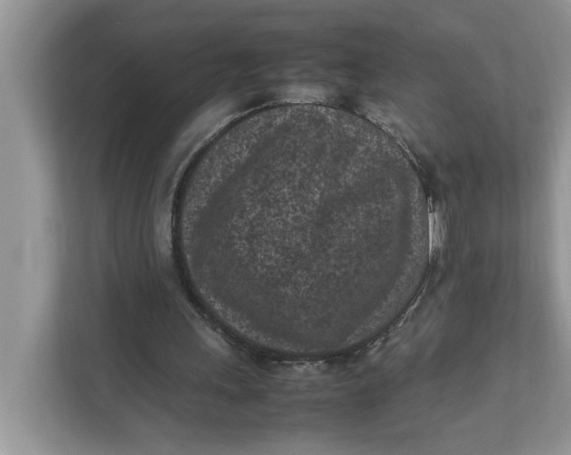 X0000111850243200908131444