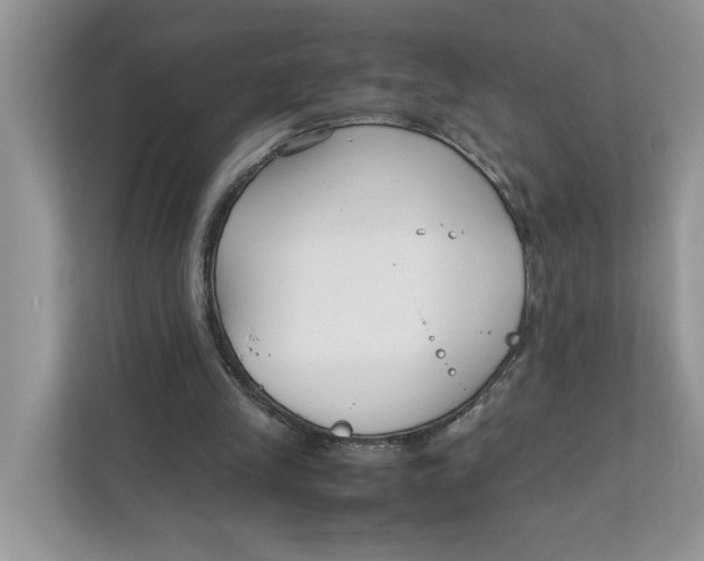 X0000111850245200908131444