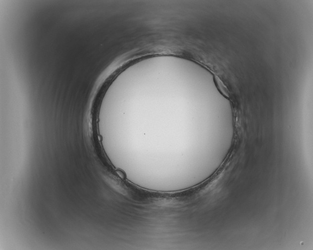 X0000111850246200908131444