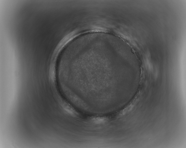 X0000111850247200908131444