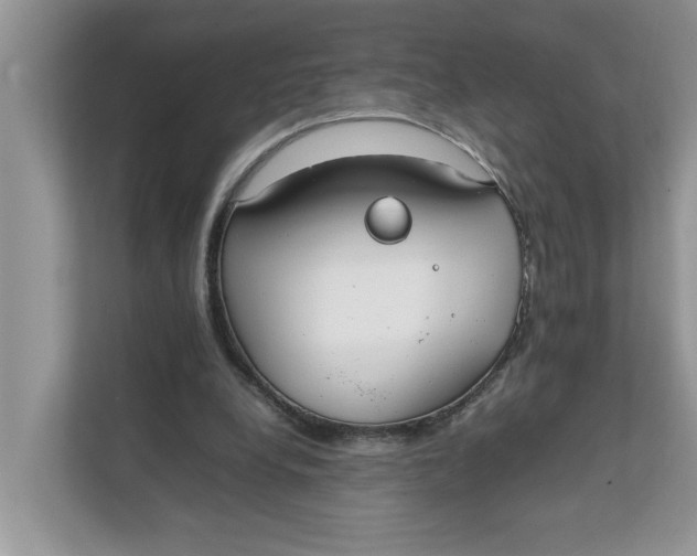 X0000111850248200908131444