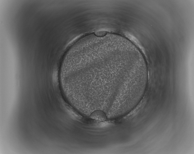 X0000111850249200908131444