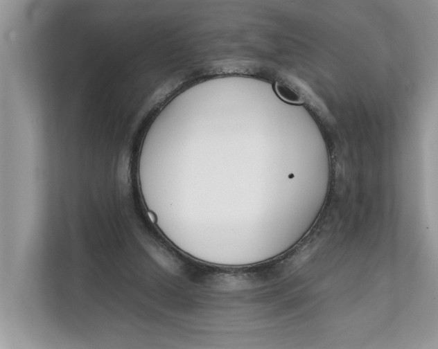 X0000111850250200908131444