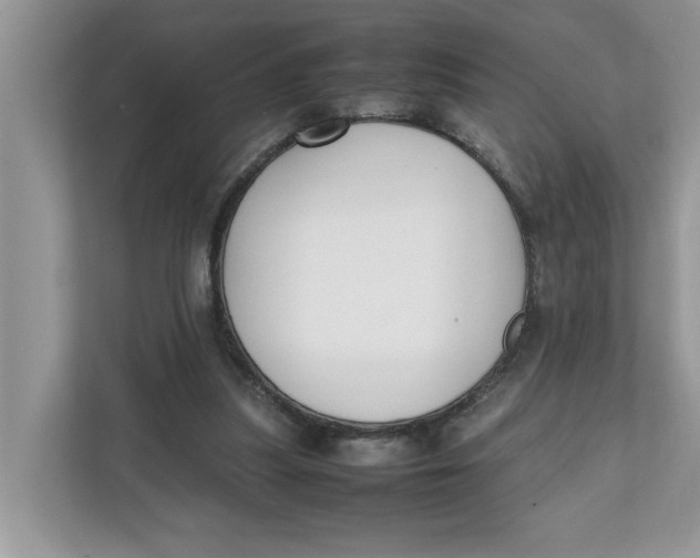 X0000111850251200908131444