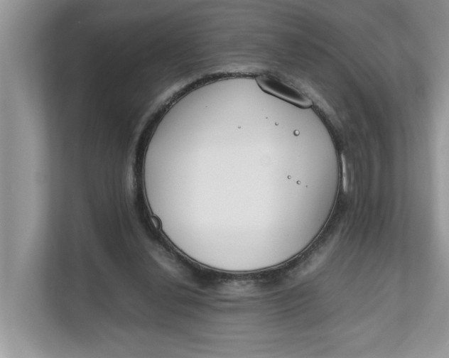 X0000111850252200908131445