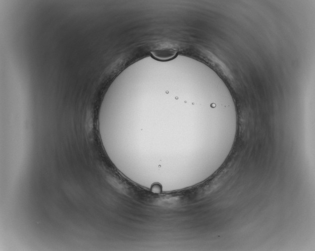 X0000111850257200908131445