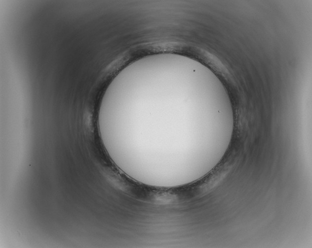 X0000111850258200908131445