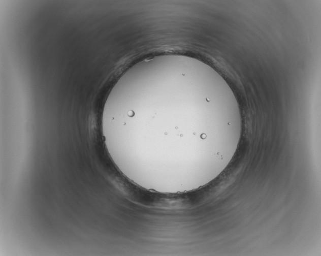 X0000111850260200908131445