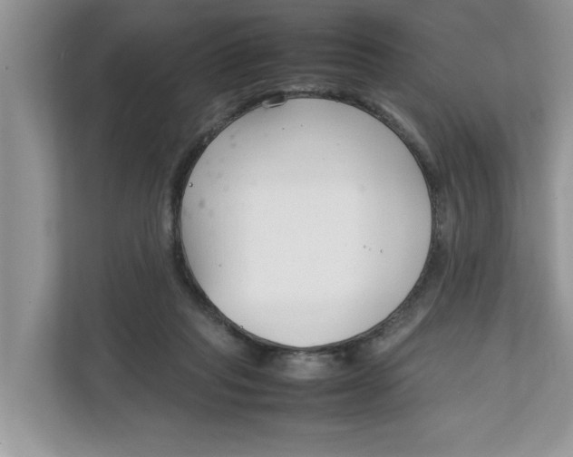 X0000111850261200908131445