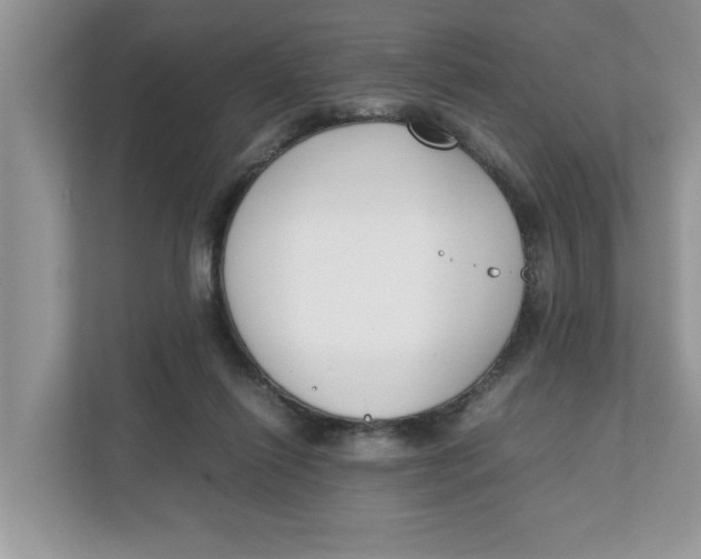 X0000111850262200908131445