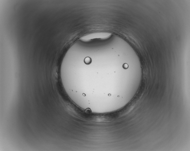 X0000111850264200908131445