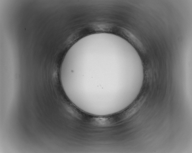 X0000111850265200908131445