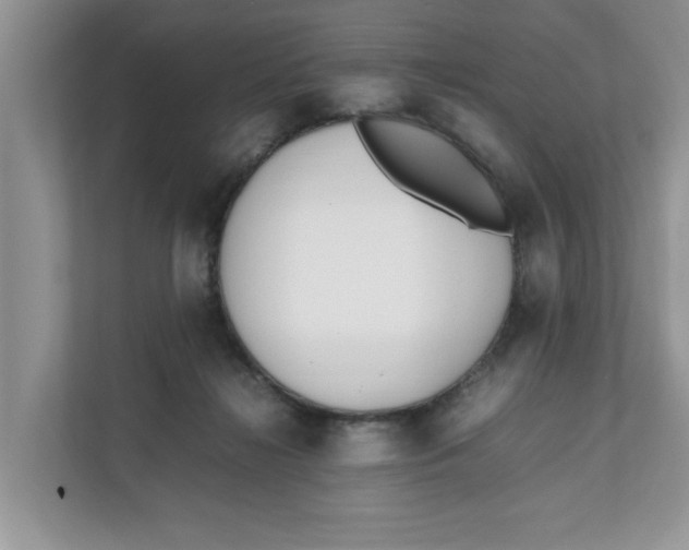 X0000111850268200908131445