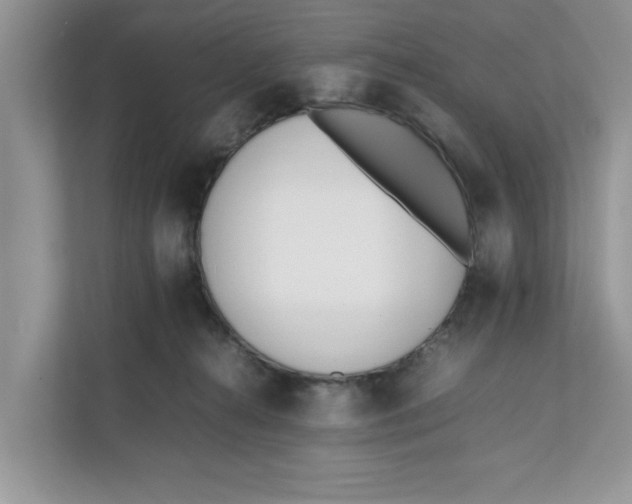 X0000111850272200908131445