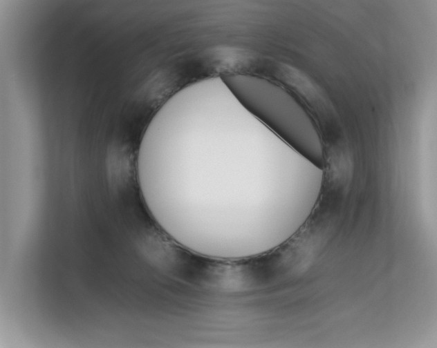 X0000111850276200908131445