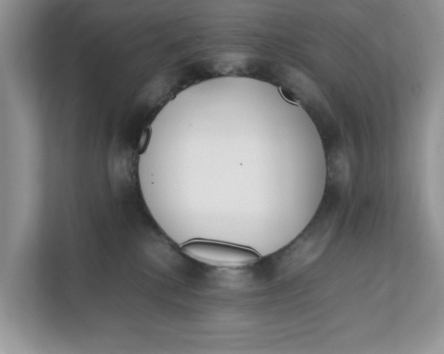 X0000111850280200908131445