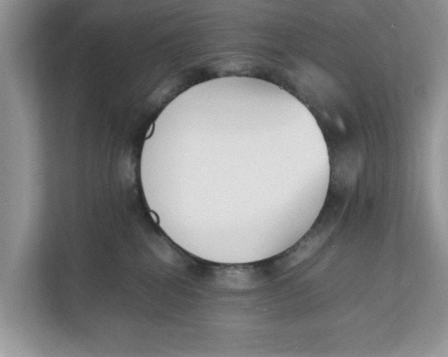 X0000111850282200908131445