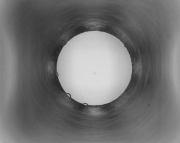 X0000111850283200908131445