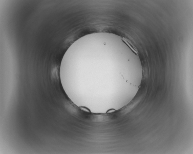 X0000111850286200908131445