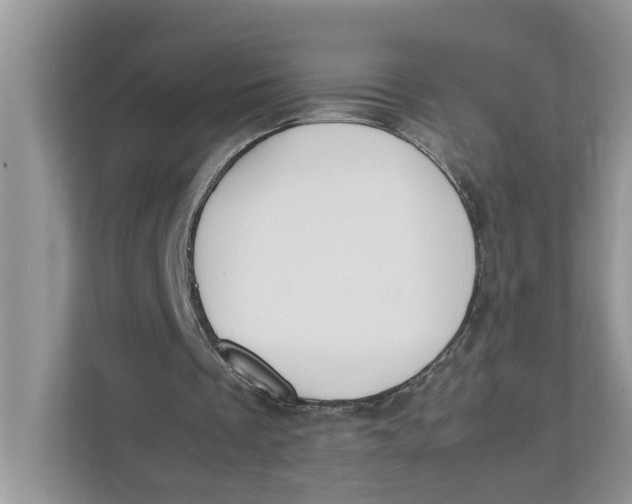 X0000111850289200908131444