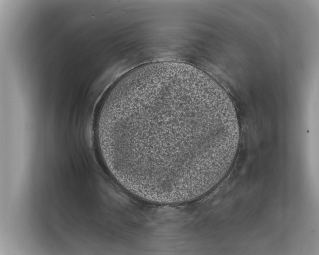 X0000111850290200908131444