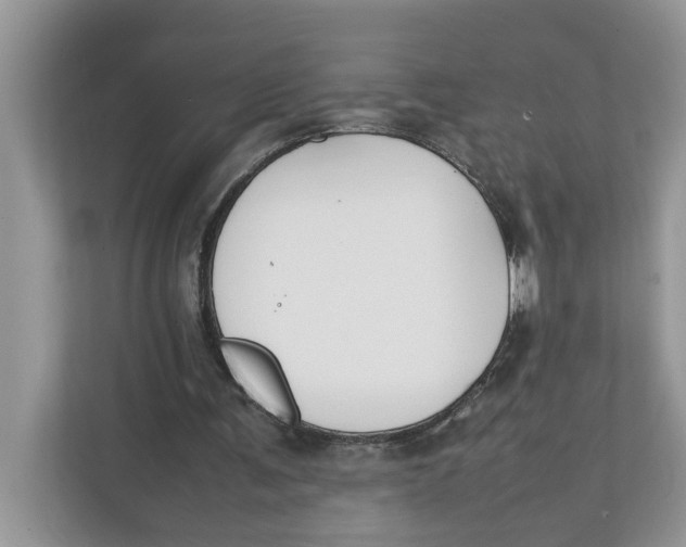 X0000111850291200908131444