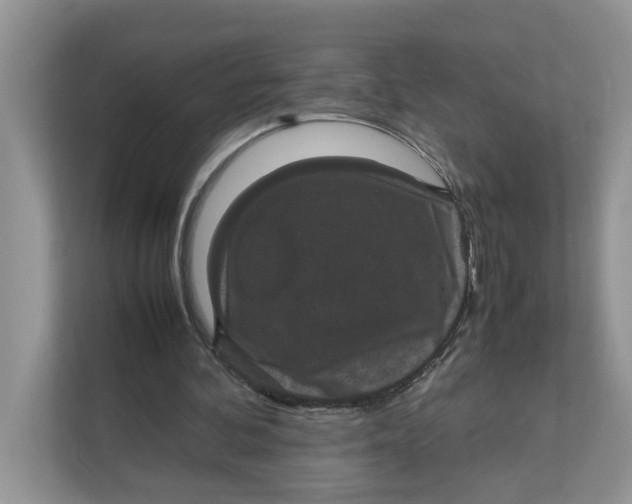 X0000111850292200908131444