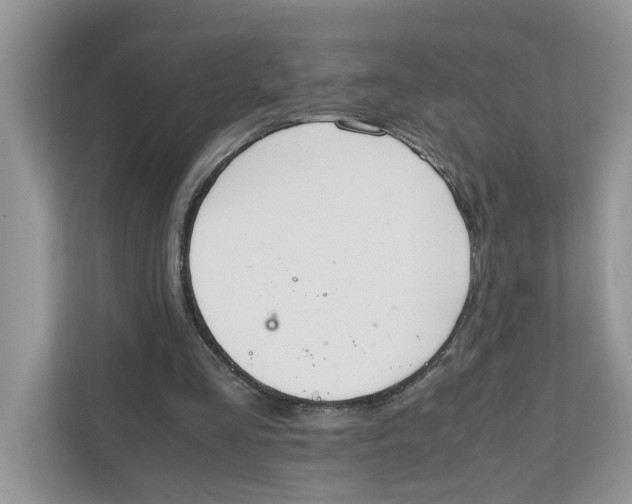 X0000111850293200908131444