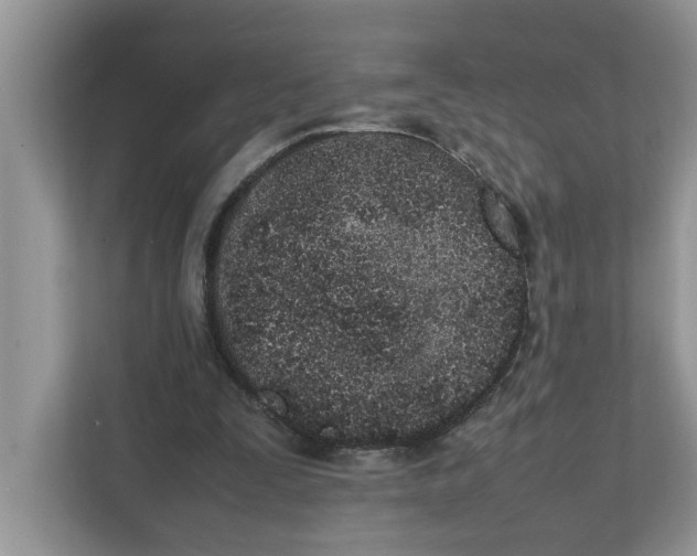 X0000111850295200908131444