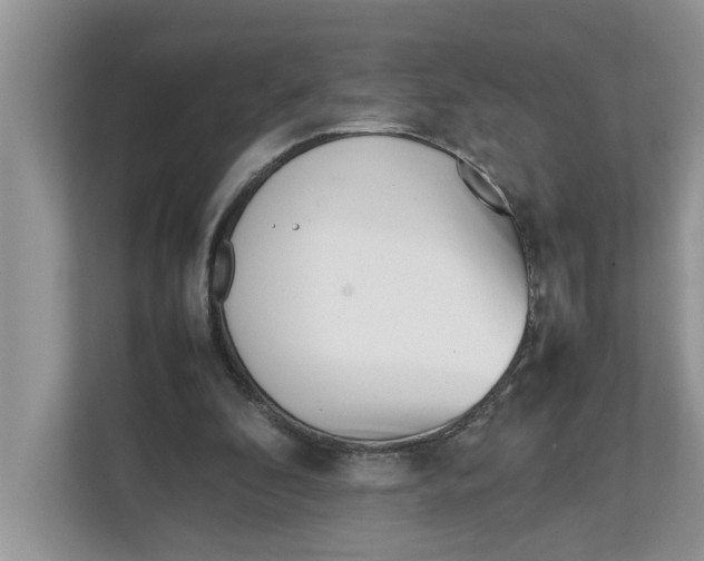 X0000111850296200908131444