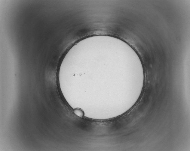 X0000111850297200908131444