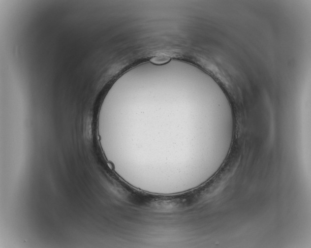 X0000111850299200908131444