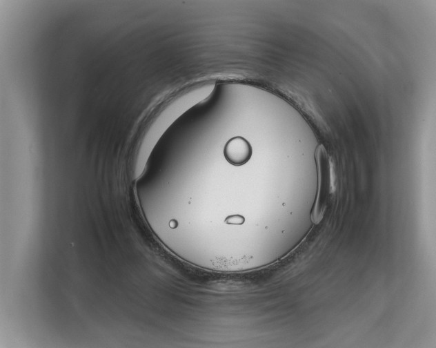 X0000111850300200908131444