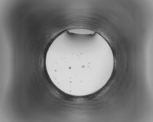 X0000111850301200908131444