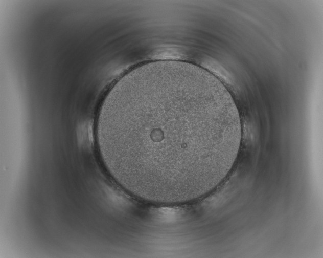 X0000111850302200908131444