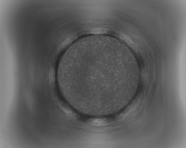 X0000111850303200908131444