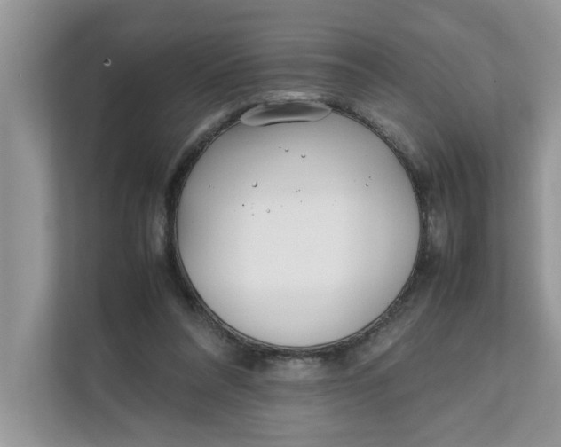 X0000111850304200908131444