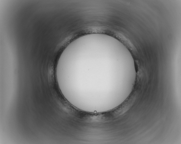 X0000111850306200908131444