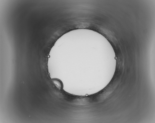 X0000111850307200908131444