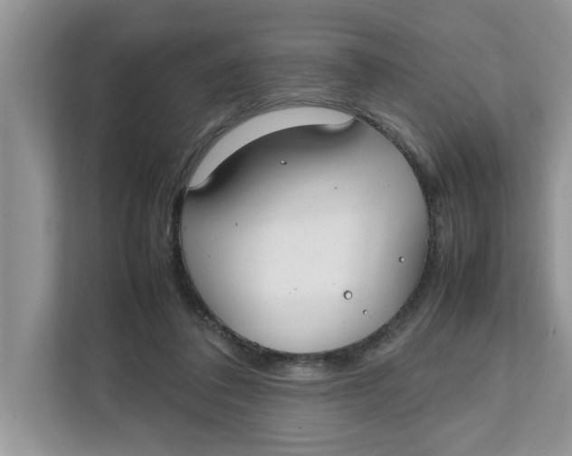 X0000111850308200908131444