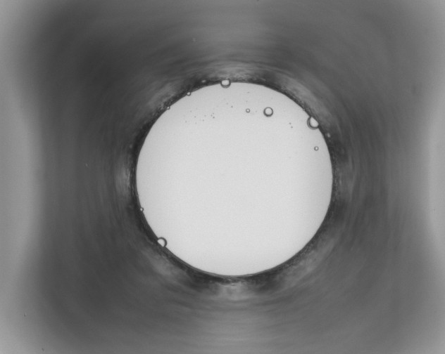 X0000111850309200908131444