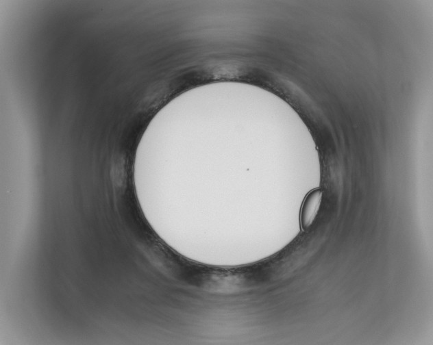 X0000111850311200908131444