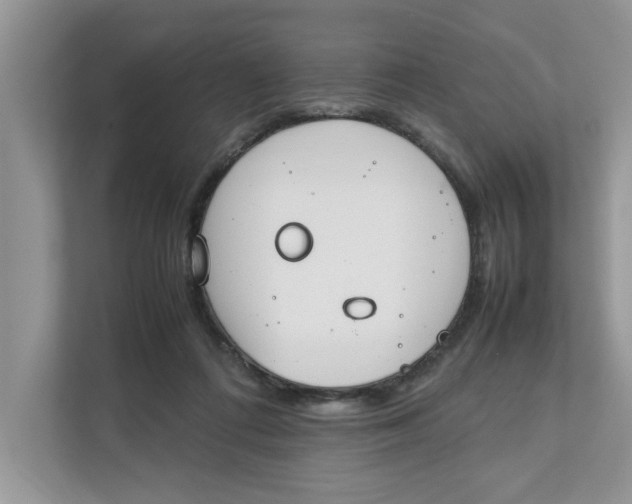 X0000111850312200908131444