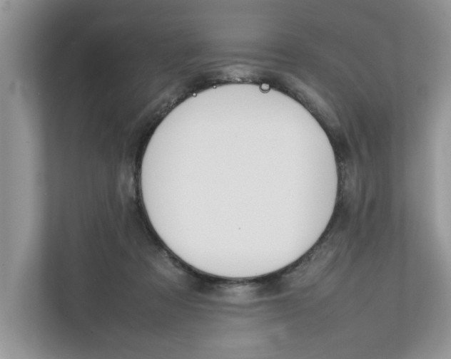 X0000111850313200908131444