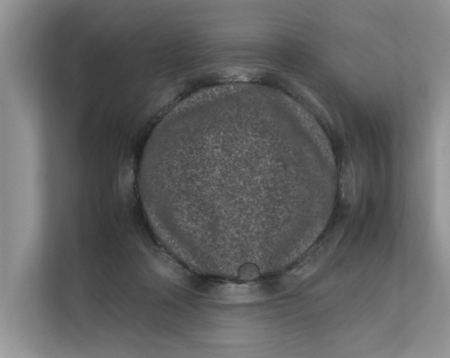 X0000111850314200908131444