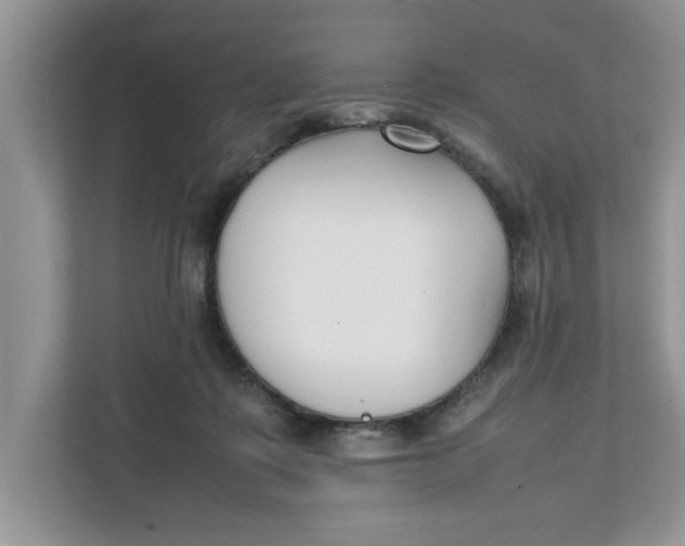 X0000111850315200908131444